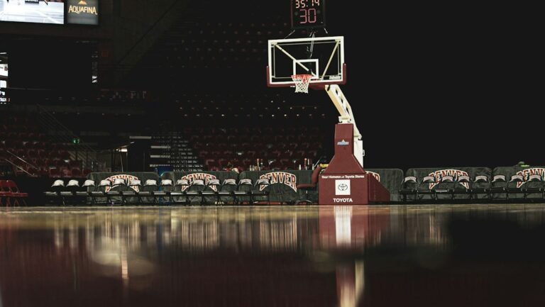 Basketkorg sedd från planen.