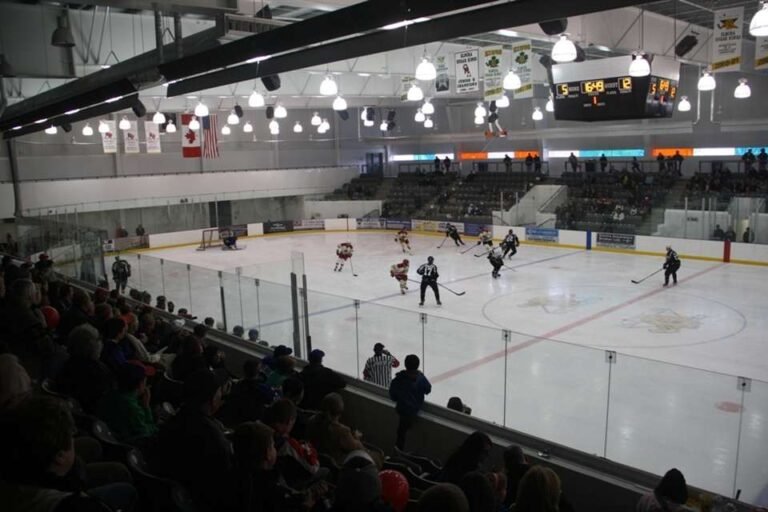 Hockey game